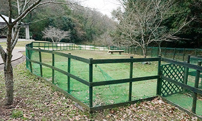 ミニドックラン